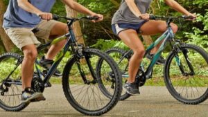 Best Entry Level Mountain Bikes