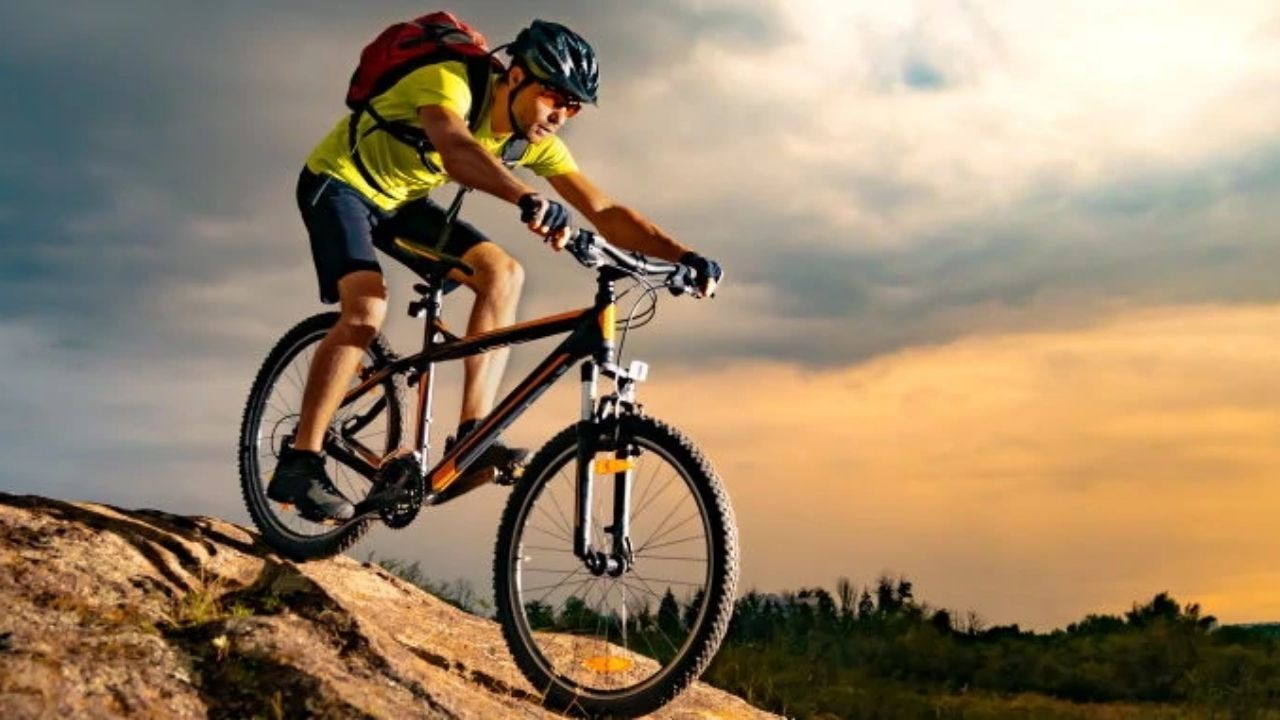 10 Best Hardtail Mountain Bikes in 2022