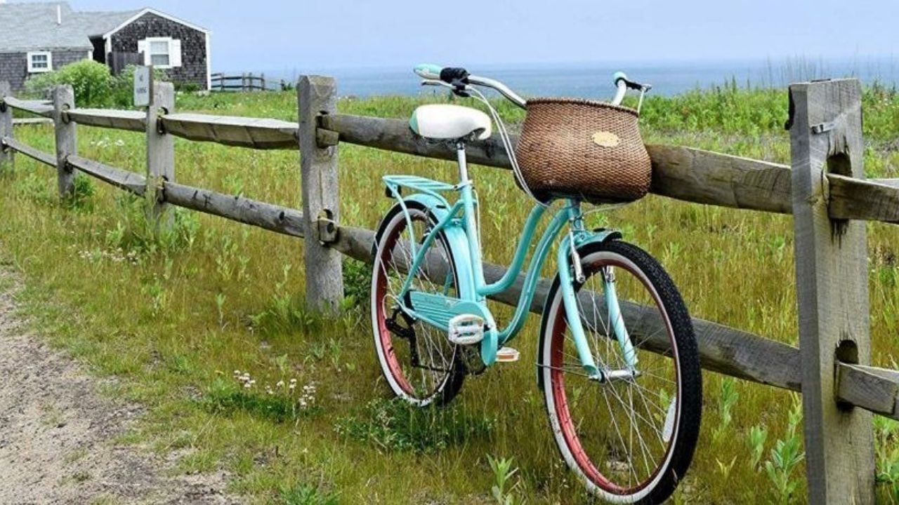 10 Best Hybrid Bikes for Women in 2022