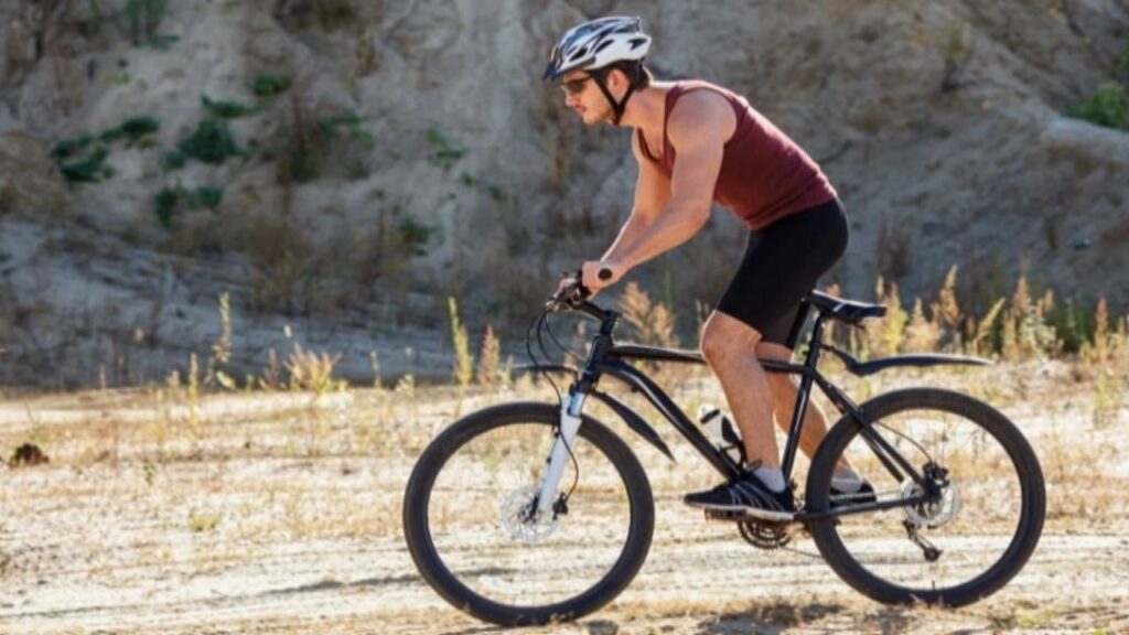 10 Best Mountain Bikes Under 500 in [current_year] (Review)