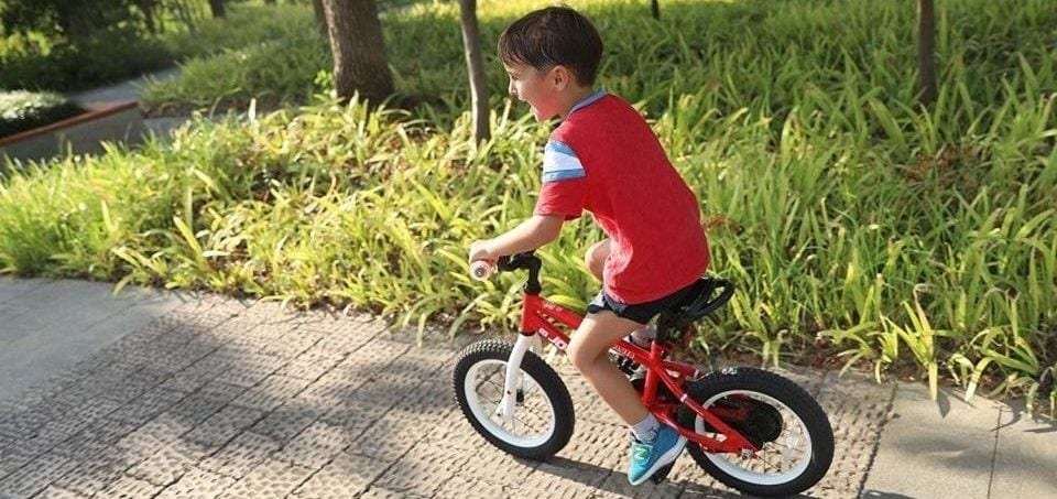 a boy drives his bike in a green area
