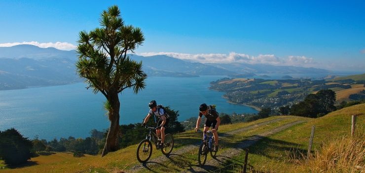 two people traveling with their mountain bikes